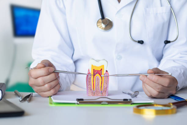 Best Emergency TMJ Treatment in Lynnwood Pricedale, PA